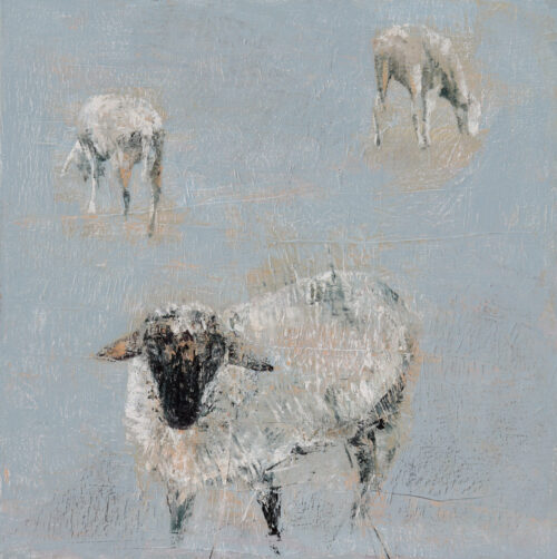 Drei Schafe  #2