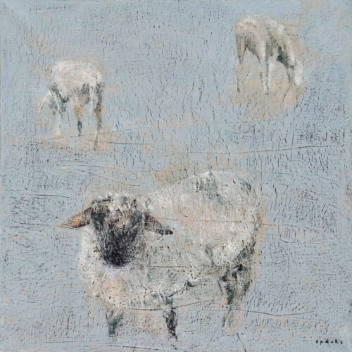 Drei Schafe  #2