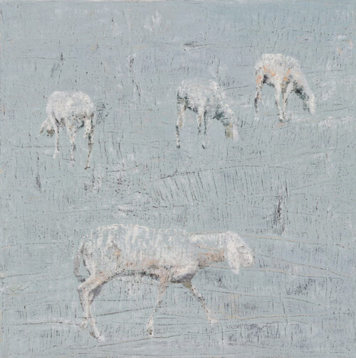 Vier Schafe